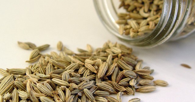 Rezene Yağının Faydaları