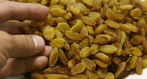 Kurutmalık Üzümde