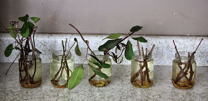 Çeliklerde Köklendirme Yöntemleri Nelerdir? Çeliklerde Köklendirme Yöntemleri