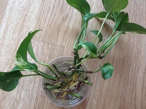 Çeliklerde Köklendirme Yöntemleri Nelerdir? Çeliklerde Köklendirme Yöntemleri