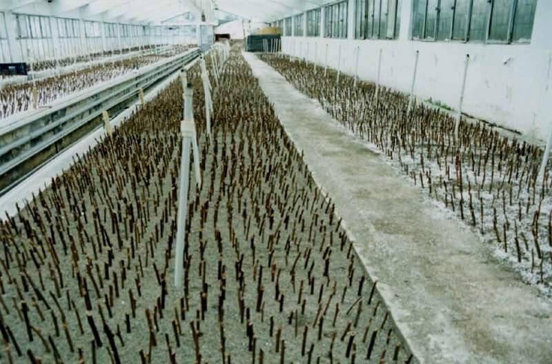 Çeliklerde Köklendirme Yöntemleri Nelerdir? Çeliklerde Köklendirme Yöntemleri