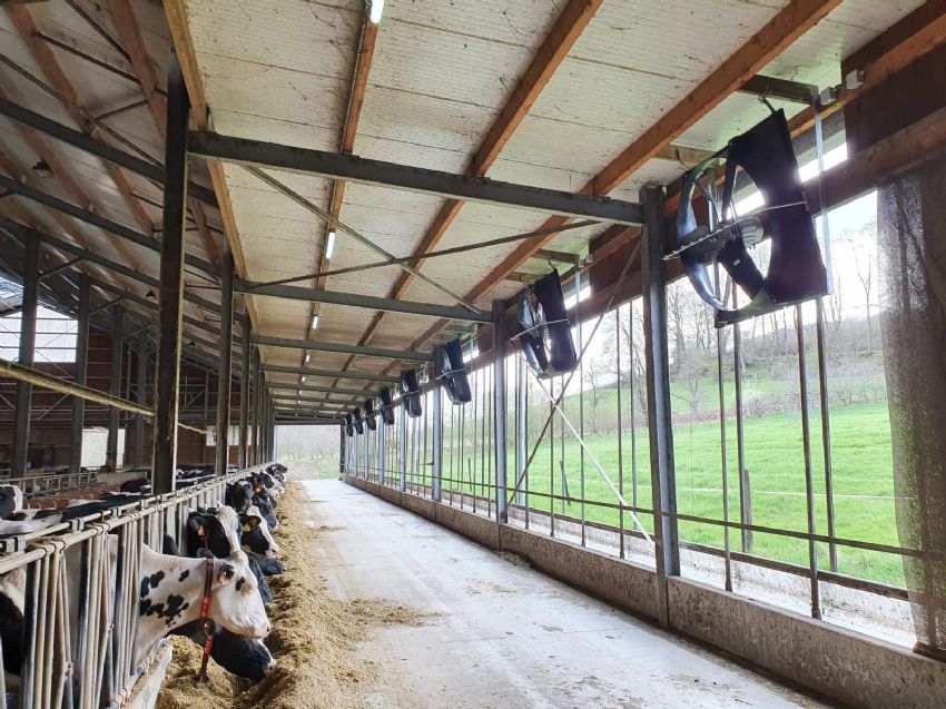 Hayvancılıkta Dijital Teknolojiler Ve Otomasyon Hayvancılıkta Dijital Teknolojiler Ve Otomasyon