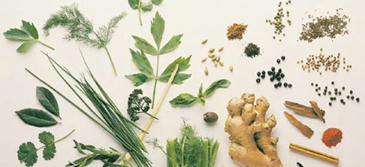 <a title='Tıbbi Ve Aromatik Bitkiler' href='https://www.muhendistarim.com.tr/konu/4723/tibbi-ve-aromatik-bitkiler'>Tıbbi</a> Bitkilerde Etken Madde Oluşumu Nelerdir? Tıbbi Bitkilerde Etken Madde Oluşumu Nelerdir?