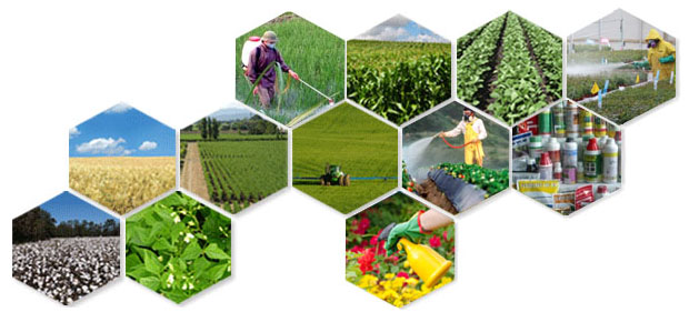 Fungisit Etkili Zirai Mücadele İlaçları