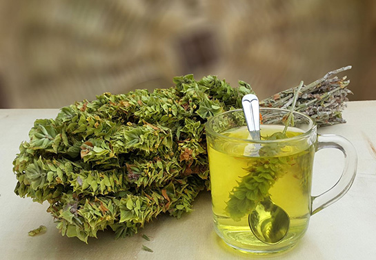 Dağ Çayının Faydaları