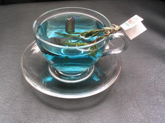 Maviçayının Faydaları