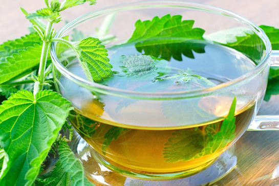 Isırgan Otu Çayının Faydaları