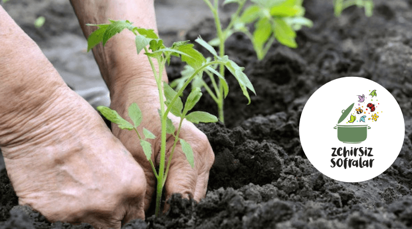 Organik Tarımda Kimyasal Savaş