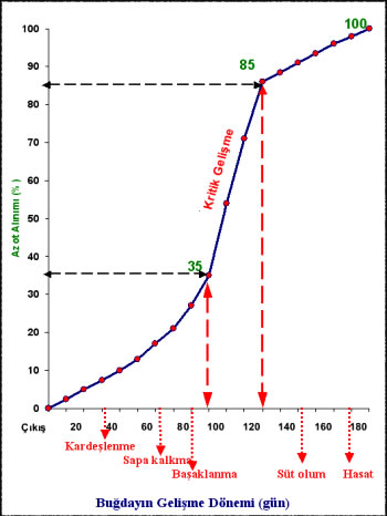 Buğday Ve Arpa Gübreleme