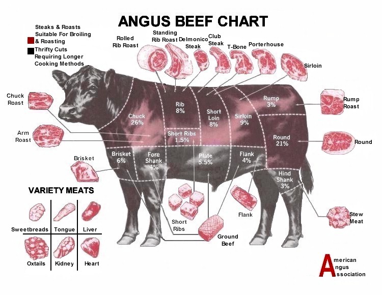 Angus