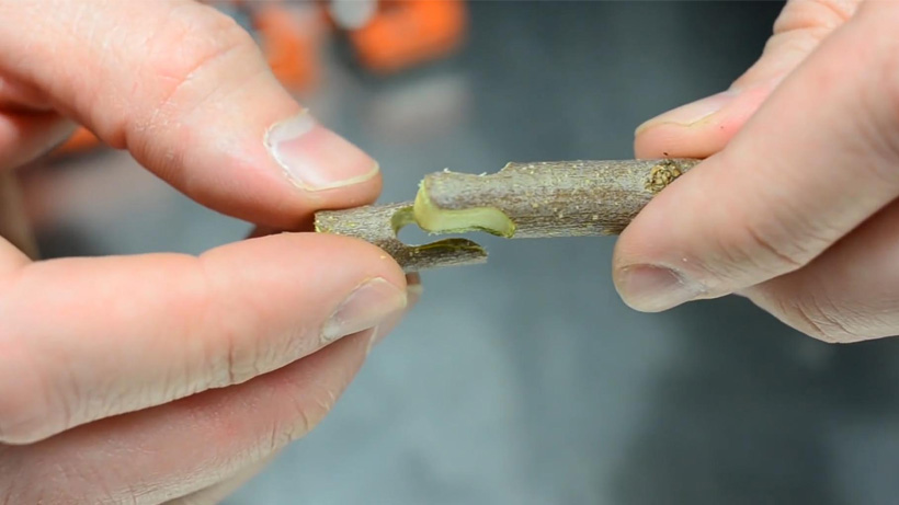 Durgun Ve Sürgün Göz Aşısı Ne Zaman Yapılır?