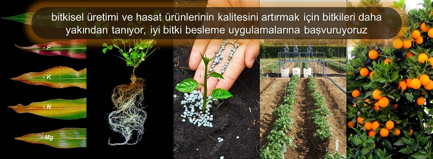 Ziraat Mühendisliği - Toprak Bölümü Tanıtımı