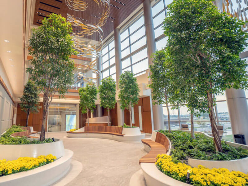 Peyzaj Tasarımında İç Mekan Bitkilerinin Önemi